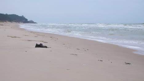 black shoe on the beach, trash and waste litter on an empty baltic sea white sand beach, environmental pollution problem, overcast day, wide shot