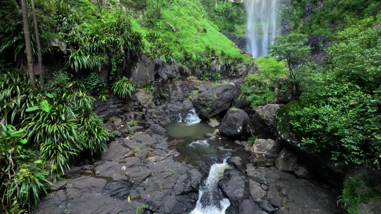 cascada en cascada a través de un bosque verde y exuberante