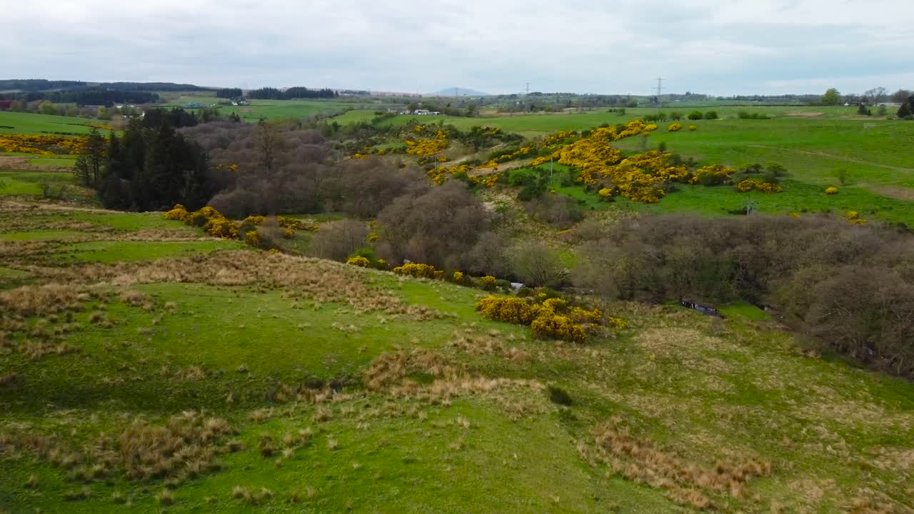 Aerial drone footage gliding and flying over Scotland or Scottish highland green mossy and flower covered landscapes during a cloudy day with horizon visible in the background. Small bushes in front.