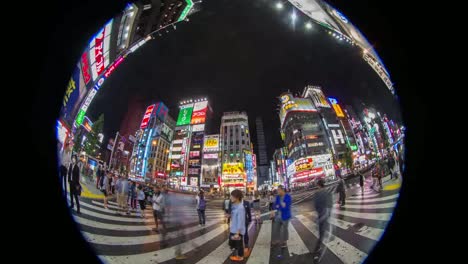 Kabukicho-Fisheye1