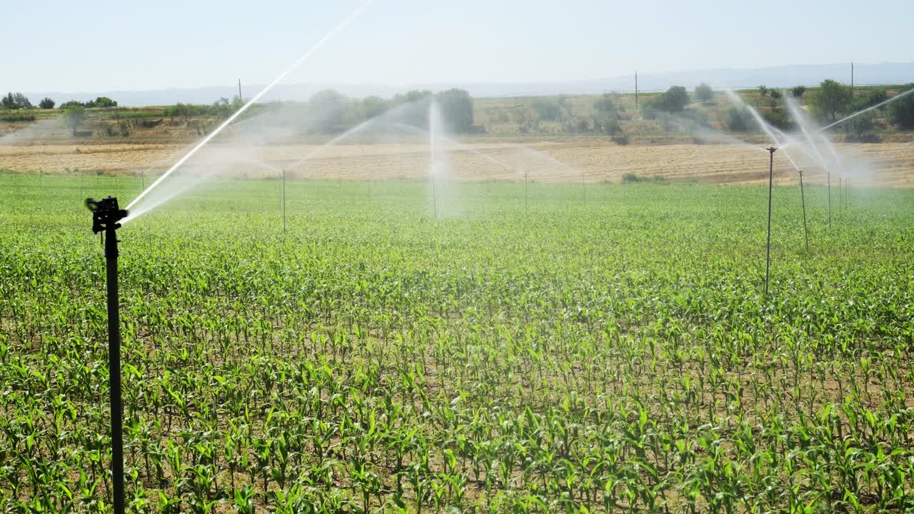 plan cerrado del sistema de riego en el campo de maíz en la temporada seca