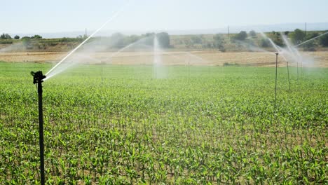 Cerrar-Plan-De-Sistema-De-Riego-En-Campo-De-Maíz-En-Temporada-Seca.