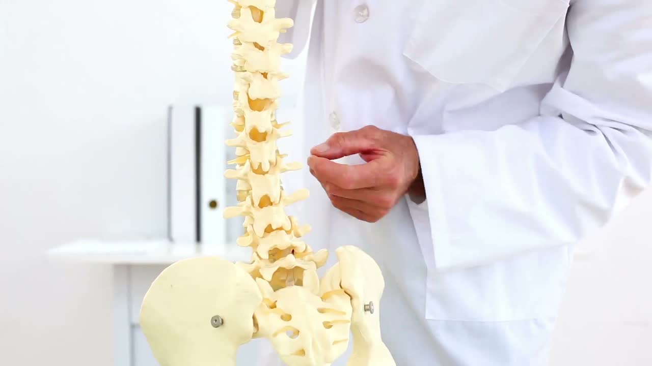 ⁇ 대 척추 를 카메라 에 설명 하는 의사