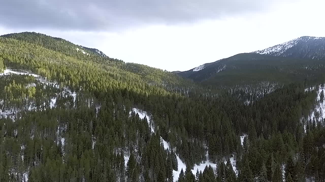 aéreo - sun ry golpea la ladera del bosque