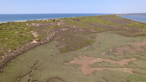 pantanos y estuarios con playas de arena y barcos