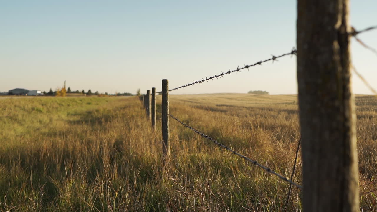 Barbed Wire Fence In The Farm. - wide shot