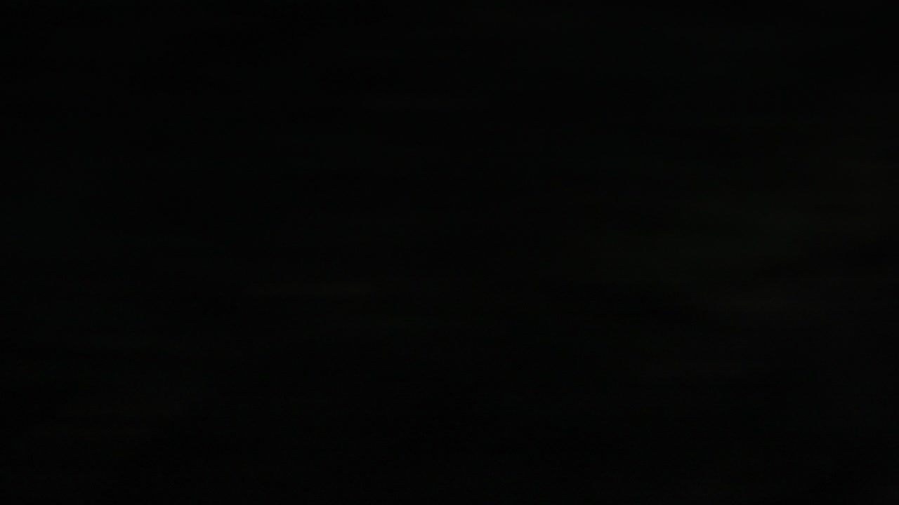 Blurred Forest and Night Skies