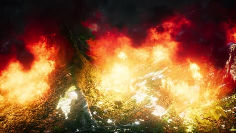 wind blowing on a flaming trees during a forest fire