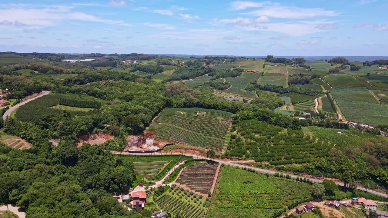 Zooming out an aerial view of green fields with vines, trees and fruit plantations