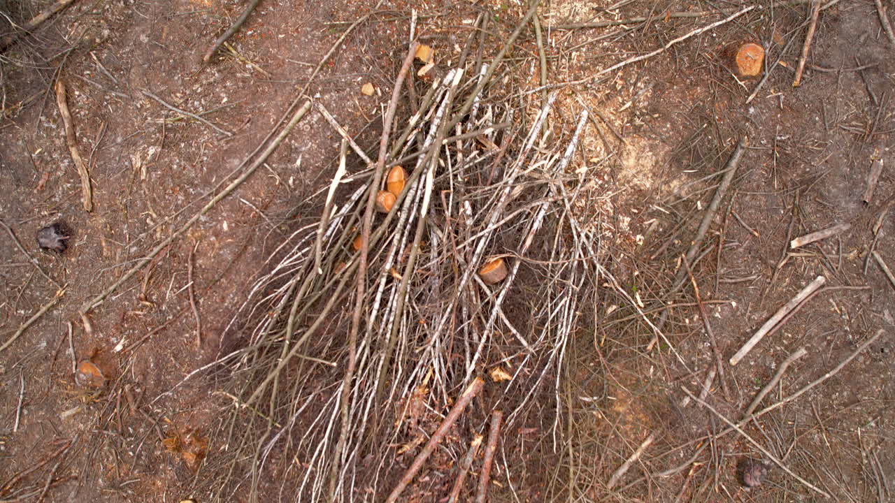 산림 벌채 과정 후 파괴 된 숲 위의 공중 조류 눈  ⁇