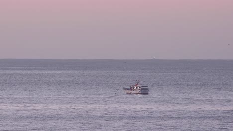 idyllic scene capturing small fishing boat on sea surface with seagulls flying around it, location near coastline of portugal