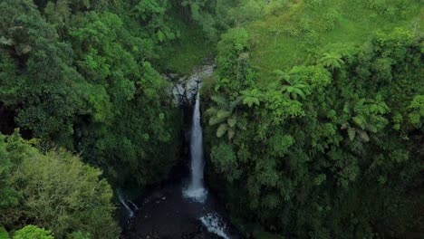 aerial view of idyllic waterfall in jungle with trees and grass in the morning - kedung kayang waterfall in indonesia