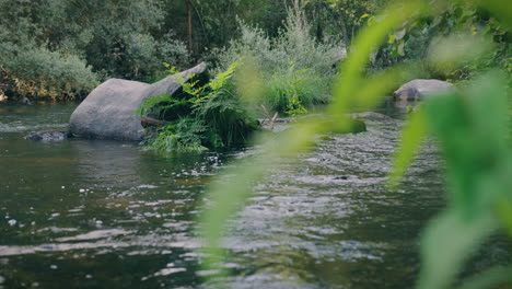 Río-Dao-Hermosa-Cámara-Lenta-Diapositiva-Plano-Medio