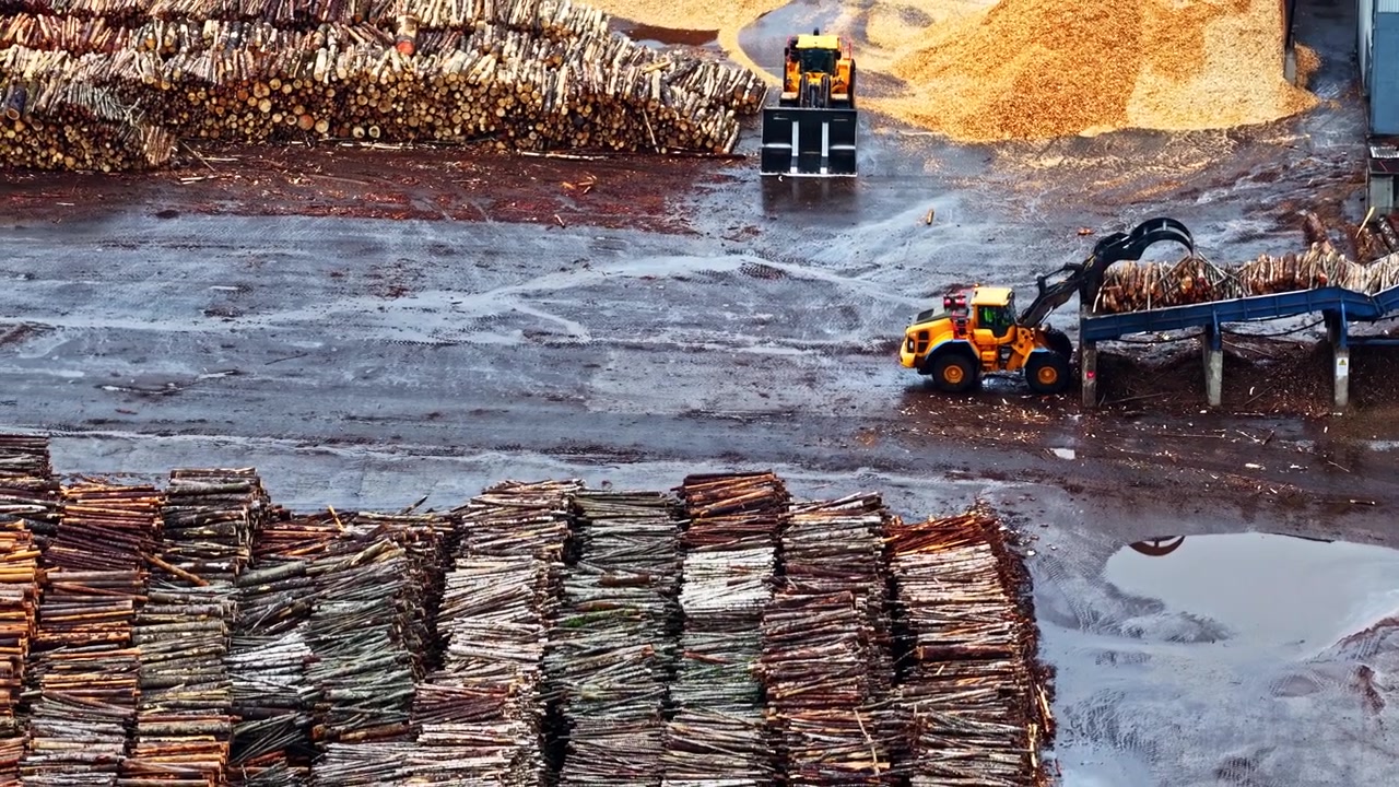 Um carregador de toras industrial movimenta madeira em uma grande serraria. Imagem em ângulo alto mostrando operações de silvicultura sustentável e a indústria de processamento de madeira.