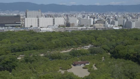 lush nature of nishinomaru garden with urban landscape in the background in osaka, japan. wide shot