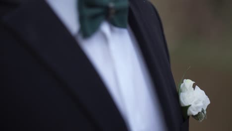 man in a suit and bow tie