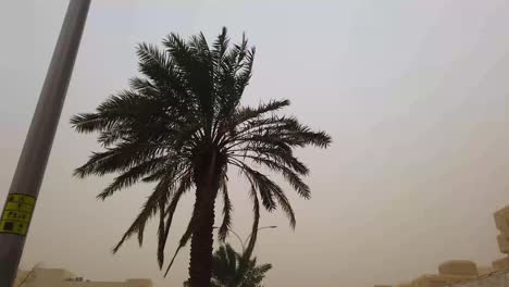 Sandstorm-in-city-of-Riyadh-–-Saudi-arabia