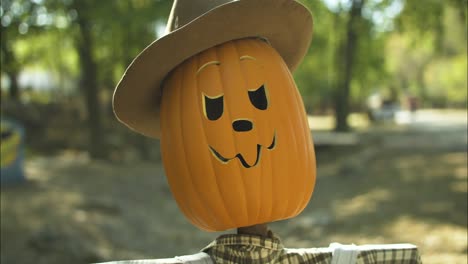 pumpkin scarecrow at halloween pumpkin patch