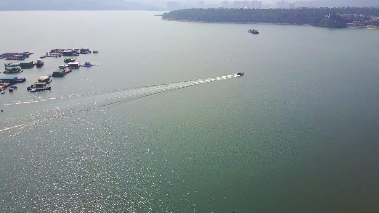 완 태풍 피난처, 타이포, 홍콩