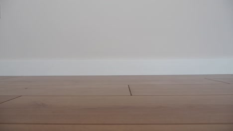 empty room with light pink walls and light wood floor