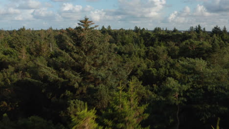 Low-flight-over-mixed-forest.-Forwards-fly-above-trees-lit-by-sun.-Houses-or-cottages-in-woods.-Denmark