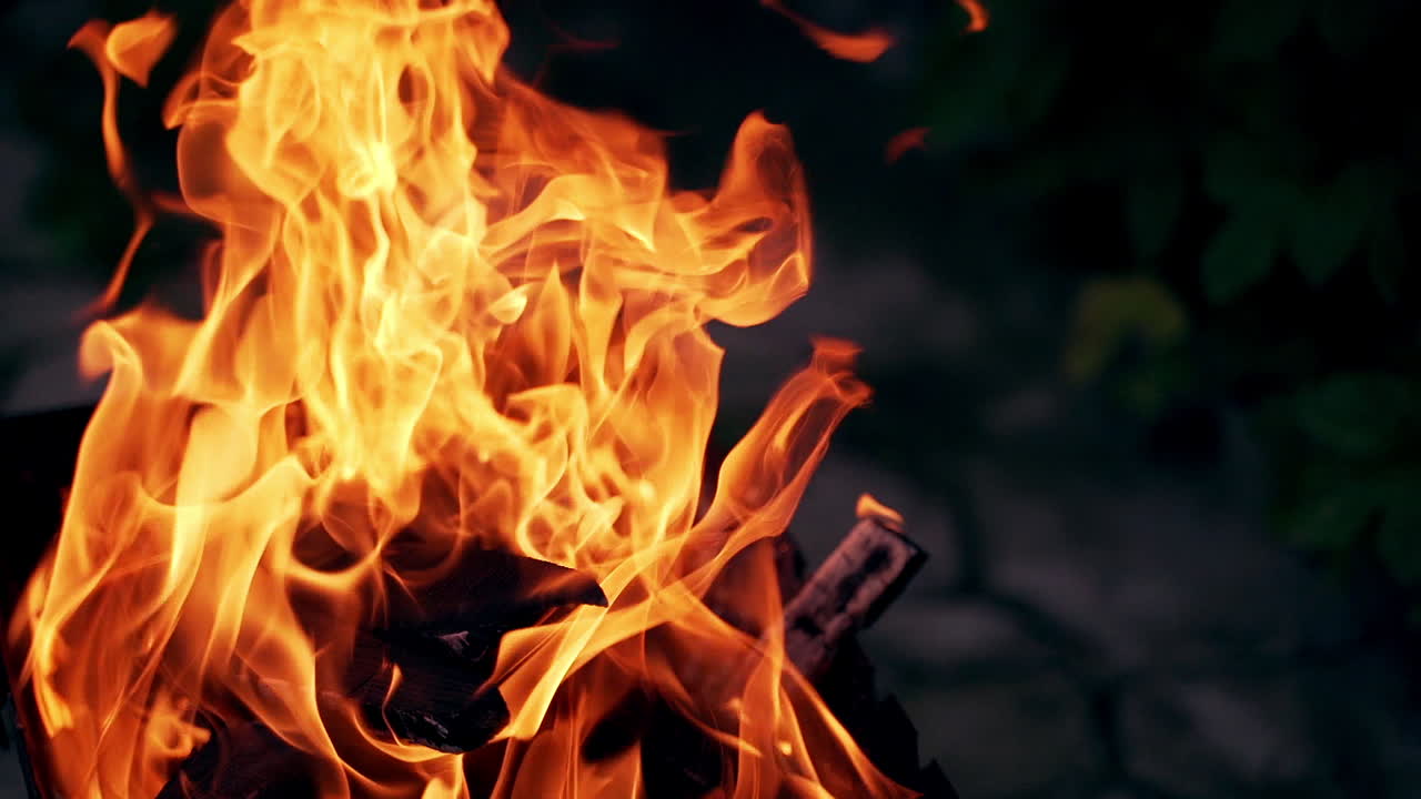 Bonfire burning trees at night. Close up of big fire with huge flames