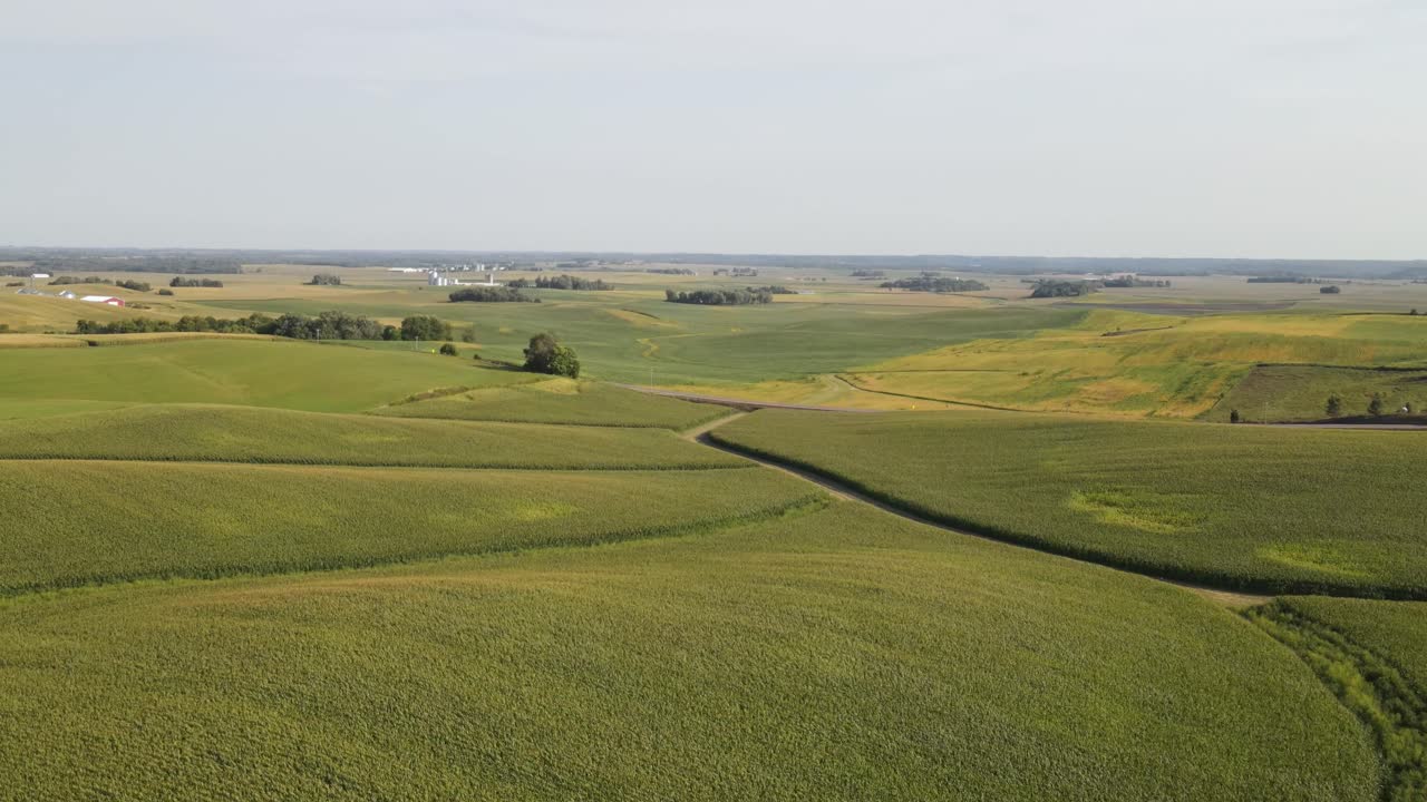 farm corn fields in south minnesota