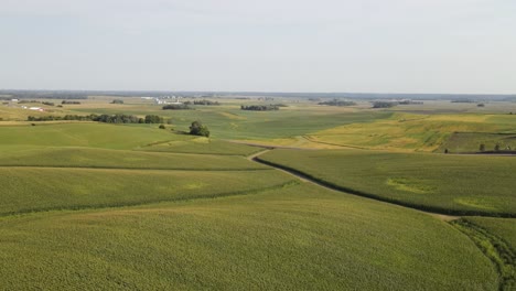 campos de maíz agrícolas en el sur de minnesota