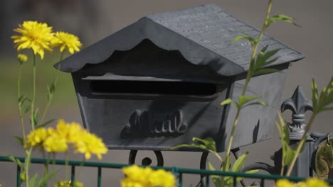 Ein-Süßer-Briefkasten-Und-Golden-Leuchtende-Blumen-Im-Garten