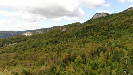 Eine-Drohne-Schoss-über-Einen-Wald-In-Einem-Naturpark