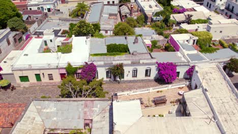 dolly en vista aérea del distrito histórico de colonia del sacramento, uruguay con buganvilias, caminos de piedra