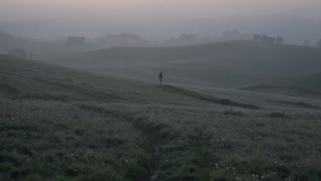 misty morning hike