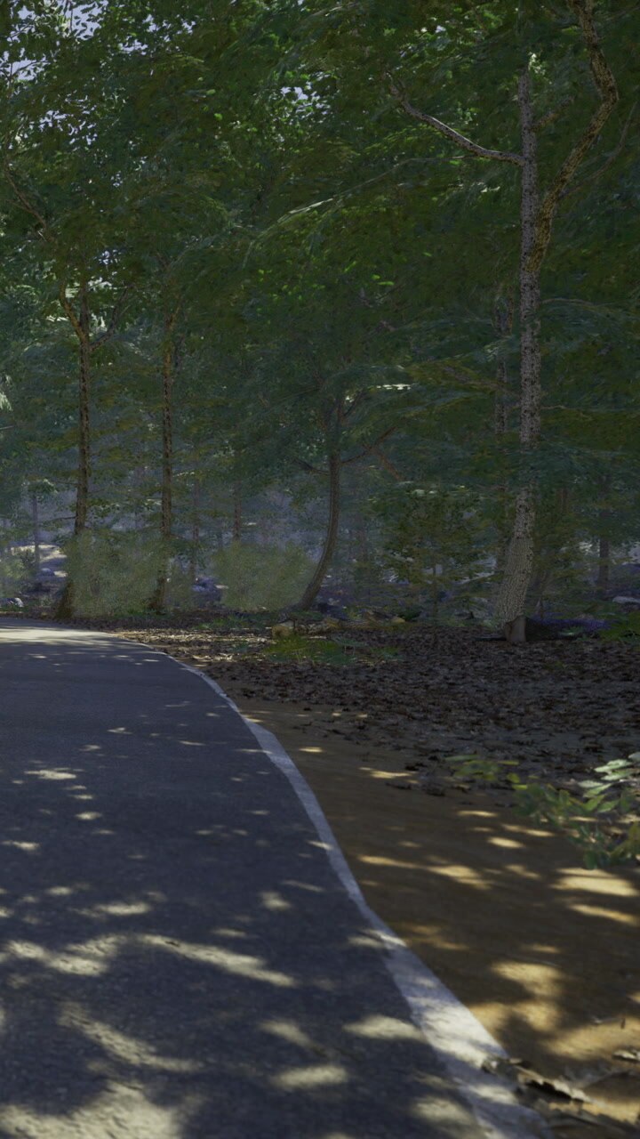 Winding road through a serene forest during golden hour light