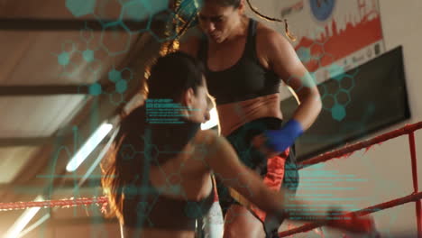 female boxers sparring in ring wearing red blue gloves showcasing hex graphics for fitness tech