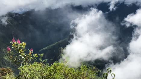 niña haciendo turismo en machu picchu, perú