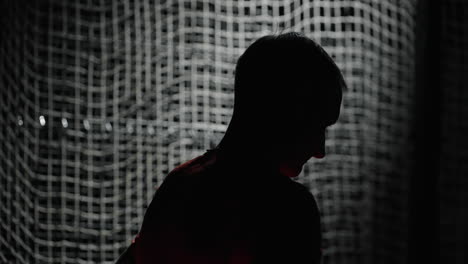 silhouette of a person in front of a grid pattern