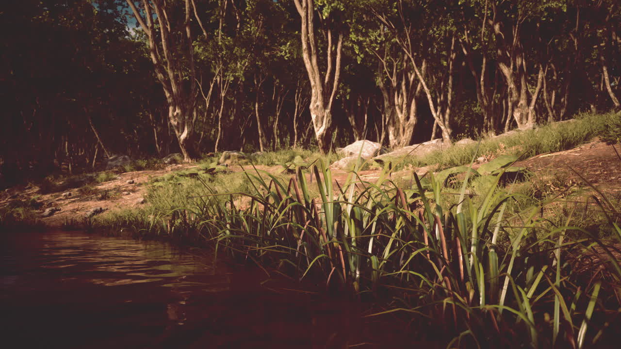 lago de montaña en el sur de austria