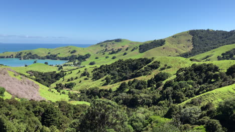 Mittelgeschwindigkeitsschwenk-Panoramablick-Von-Der-Coromandel-Halbinsel-In-Neuseeland