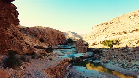 a river in the middle of the sahara desert algeria biskra