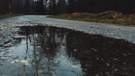 close up, muddy puddle, rain drops and trees reflecting in water