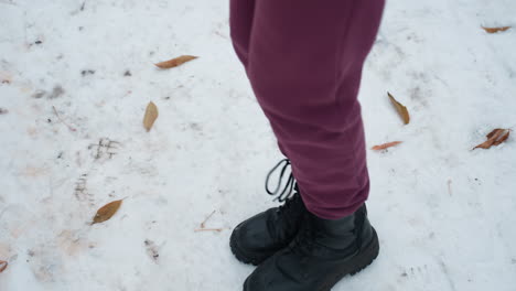 vista de ángulo inferior de arriba hacia abajo de individuos que llevan botas negras jugando activamente en un terreno cubierto de nieve con follaje seco esparcido