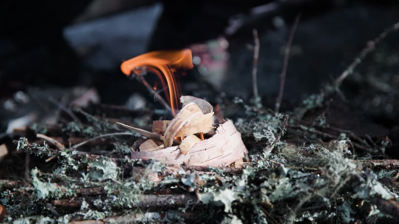 Man starting fire with white birchwood, slow motion, close-up