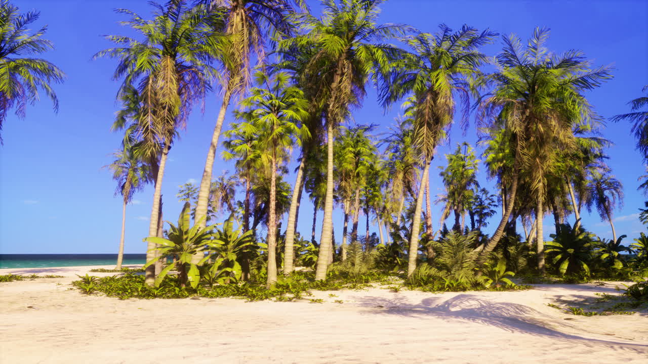 playa tropical con palmeras