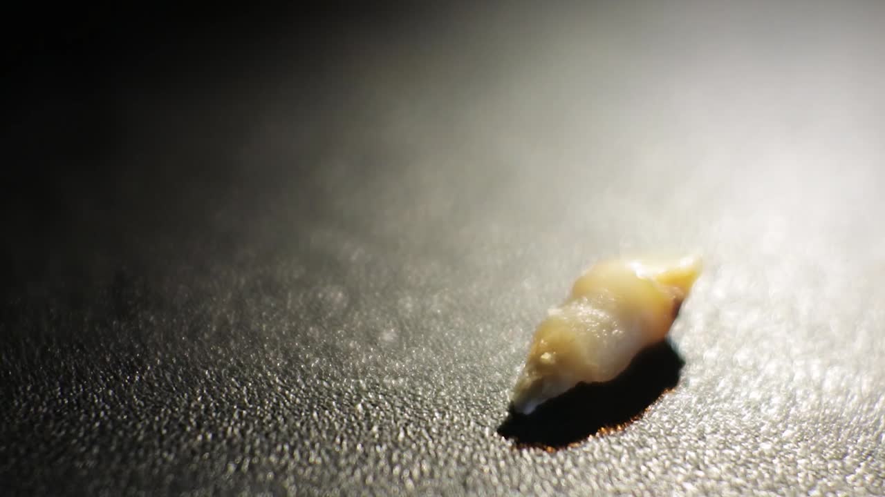 cerrar diente de leche infantil, video hd