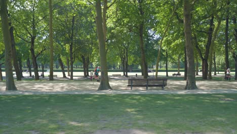sideways dolly shot of two runners on park way with green trees and foliage on side of park street. warm sunny summer day in the park of cinquantennaire park in brussels, belgium, people in distance.