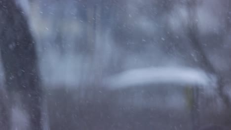 snowfall on wintertime at the city against shallow depth of field