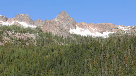 high mountain summit above a forest of pine trees