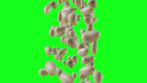 falling of roasted peanuts in green screen
