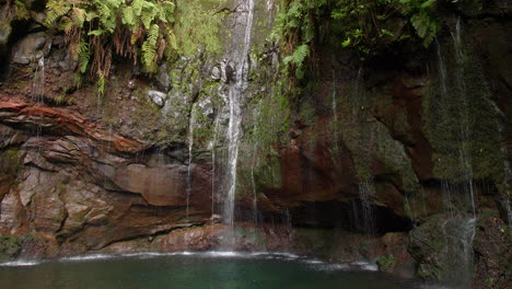 cascada madeira 25 fuentes cascada da risco selva tropical exótica