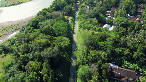 jungle grows on the banks of indonesian river high angle sideways track